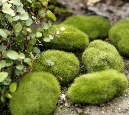 Miniature Fairy Garden Ornaments – DIY Decor & Crafts